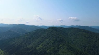 Slovenya 'nın güneyindeki uçsuz bucaksız dağ ve ormanların sarhoş edici hava manzarası. Drone ormanda uçuyor.