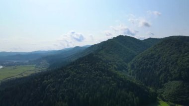 Slovenya 'nın güneyindeki uçsuz bucaksız dağ ve ormanların sarhoş edici hava manzarası. Drone ormanda uçuyor.