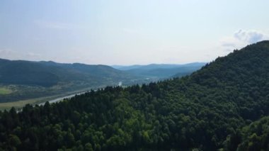 Slovenya 'nın güneyindeki uçsuz bucaksız dağ ve ormanların sarhoş edici hava manzarası. Drone ormanda uçuyor.