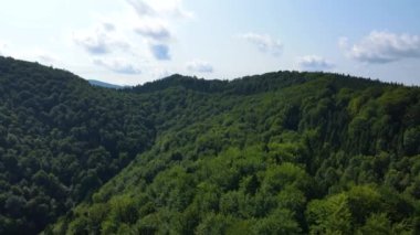Slovenya 'nın güneyindeki uçsuz bucaksız dağ ve ormanların sarhoş edici hava manzarası. Drone ormanda uçuyor.