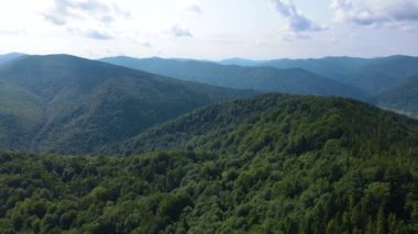 Slovenya 'nın güneyindeki uçsuz bucaksız dağ ve ormanların sarhoş edici hava manzarası. Drone ormanda uçuyor.