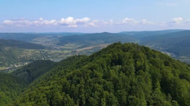 Slovenya 'nın güneyindeki uçsuz bucaksız dağ ve ormanların sarhoş edici hava manzarası. Drone ormanda uçuyor.