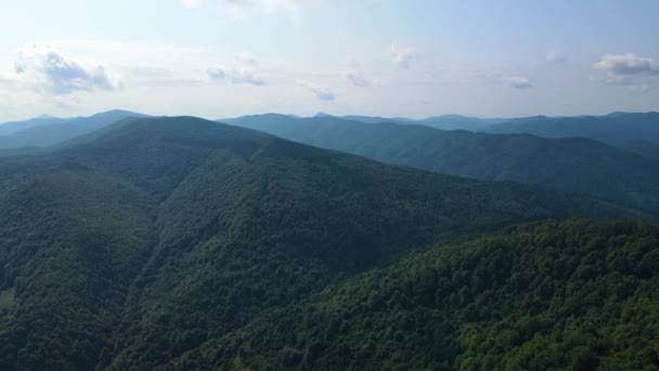 Slovenya Nın Güneyindeki Uçsuz Bucaksız Dağ Ormanların Sarhoş Edici Hava — Stok video