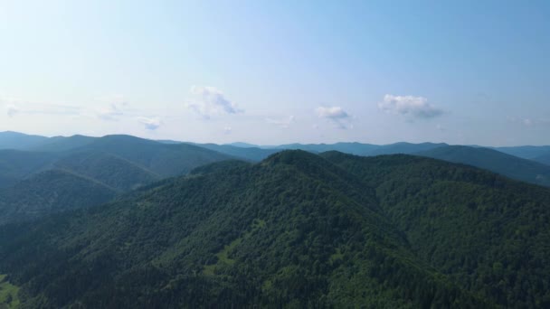 Slovenya Nın Güneyindeki Uçsuz Bucaksız Dağ Ormanların Sarhoş Edici Hava — Stok video