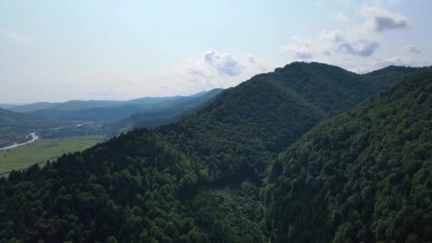 Inematyczny Widok Lotu Ptaka Niekończące Się Góry Lasy Południowej Słowenii — Wideo stockowe