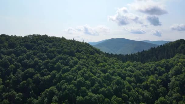 Vista Aérea Inemática Das Intermináveis Montanhas Florestas Sul Eslovénia Drone — Vídeo de Stock