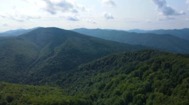 Slovenya 'nın güneyindeki uçsuz bucaksız dağ ve ormanların sarhoş edici hava manzarası. Drone ormanda uçuyor.