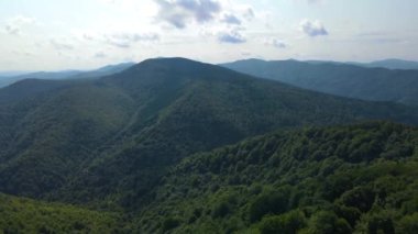 Slovenya 'nın güneyindeki uçsuz bucaksız dağ ve ormanların sarhoş edici hava manzarası. Drone ormanda uçuyor.