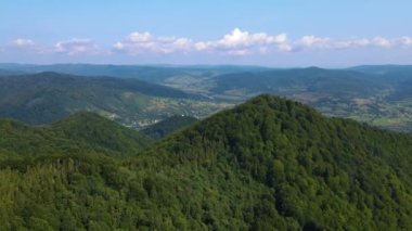 Slovenya 'nın güneyindeki uçsuz bucaksız dağ ve ormanların sarhoş edici hava manzarası. Drone ormanda uçuyor.