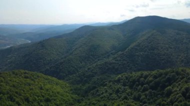 Slovenya 'nın güneyindeki uçsuz bucaksız dağ ve ormanların sarhoş edici hava manzarası. Drone ormanda uçuyor.