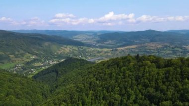 Slovenya 'nın güneyindeki uçsuz bucaksız dağ ve ormanların sarhoş edici hava manzarası. Drone ormanda uçuyor.