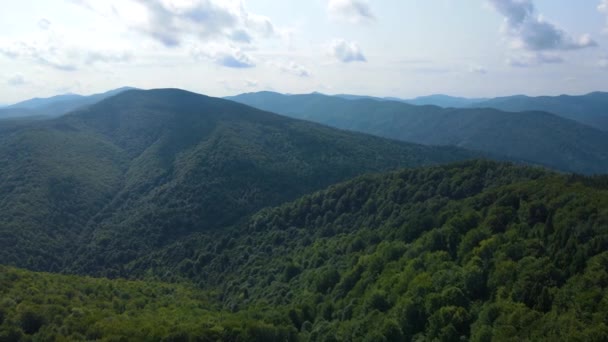 Θεματική Εναέρια Άποψη Των Ατελείωτων Βουνών Και Των Δασών Της — Αρχείο Βίντεο