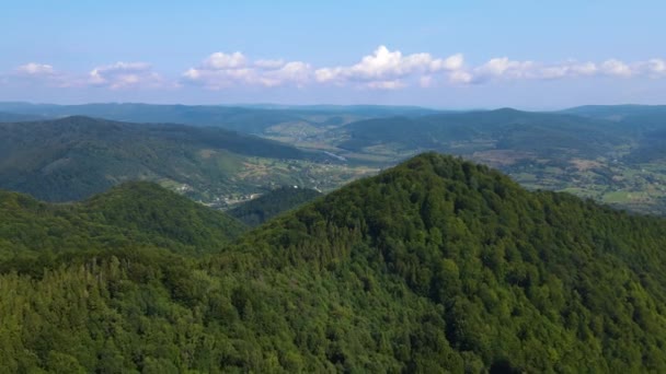 Невыразительный Вид Воздуха Бесконечные Горы Форсты Южной Словенской Земли Беспилотник — стоковое видео