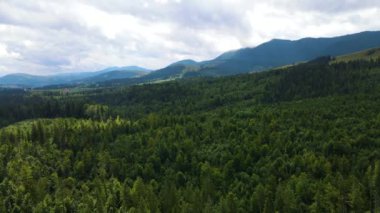 Dağlar, Ukrayna 'nın en tepedeki insansız hava aracı Karpatlar' ın manzarasını görüntüler.