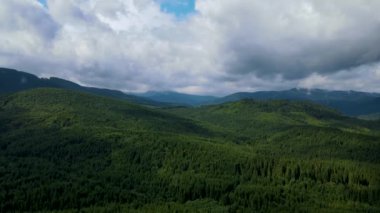 Dağlar ormanı Ukrayna Karpatları 'nın uçuşu kozalaklı ağaçlar manzara manzarası.