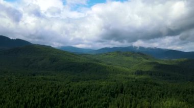 Dağlar ormanı Ukrayna Karpatları 'nın uçuşu kozalaklı ağaçlar manzara manzarası.