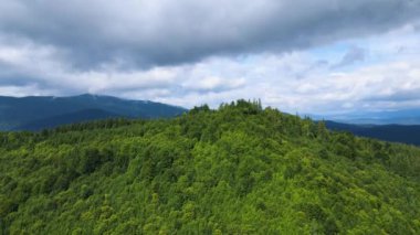 Dağlar ormanı Ukrayna Karpatları 'nın uçuşu kozalaklı ağaçlar manzara manzarası.
