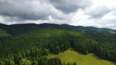 Dağlar ormanı Ukrayna Karpatları 'nın uçuşu kozalaklı ağaçlar manzara manzarası.