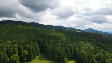 Dağlar ormanı Ukrayna Karpatları 'nın uçuşu kozalaklı ağaçlar manzara manzarası.