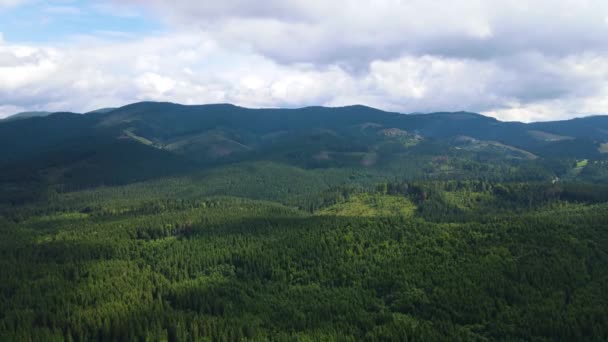 Góry Krajobraz Widok Góry Lotu Drona Karpaty Ukraina — Wideo stockowe