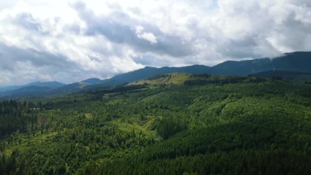 Montanhas Paisagem Vista Topo Voo Drone Cárpatos Ucrânia — Vídeo de Stock