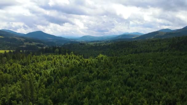 Montanhas Paisagem Vista Topo Voo Drone Cárpatos Ucrânia — Vídeo de Stock