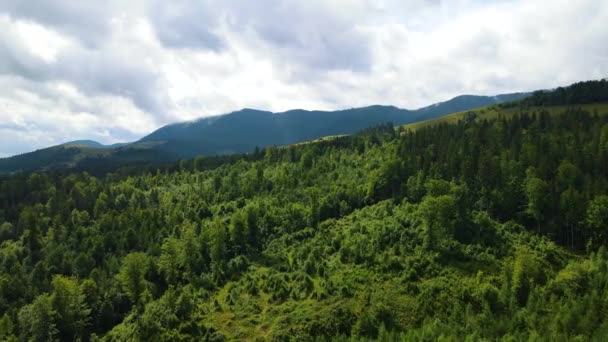 Montanhas Paisagem Vista Topo Voo Drone Cárpatos Ucrânia — Vídeo de Stock