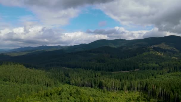 高山森林无人飞行的乌克兰喀尔巴阡山针叶树风景全景 — 图库视频影像