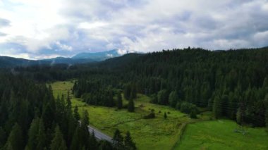 Kozalaklı orman üst görünümü İHA panorama