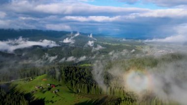 Dağlarda yağışlı hava. Çam ağacı ormanında sisli bir sis esiyor. Sisli bir günde dağ tepelerindeki ladin ormanlarının hava görüntüleri. Güzel sonbahar ormanında sabah sisi.