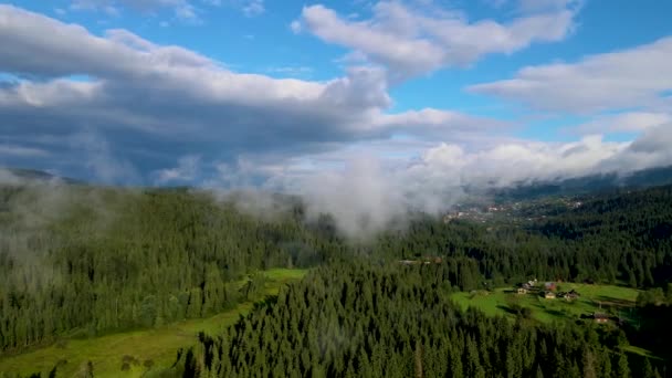 Regnigt Väder Bergen Dimma Som Blåser Över Tallskogen Flygbilder Granskogsträd — Stockvideo