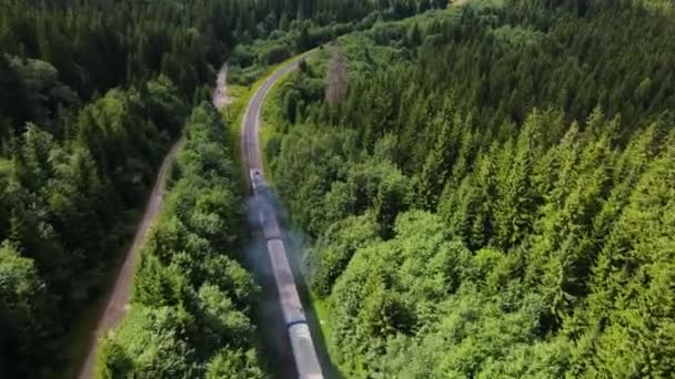 Oude Dieseltrein Rijdend Langs Spoorbaan Prachtige Landschap Bos Bergen — Stockvideo