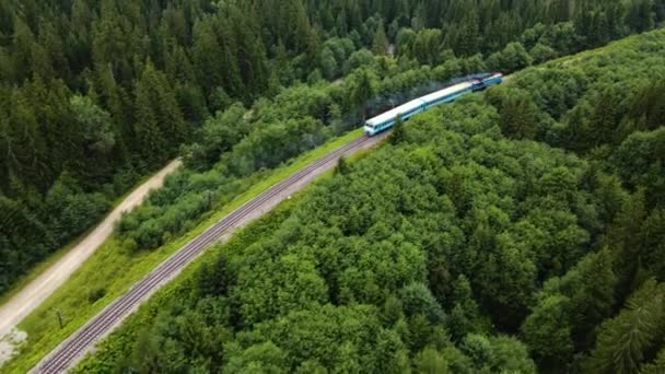 Старий Дизельний Поїзд Рухається Вздовж Залізничної Лінії Красиві Пейзажі Лісові — стокове відео