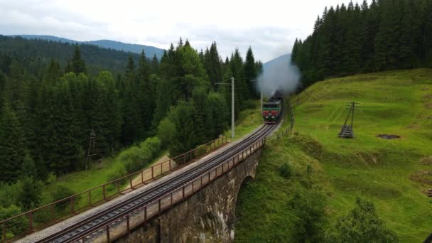 Oude Dieseltrein Rijdend Langs Spoorbaan Prachtige Landschap Bos Bergen — Stockvideo