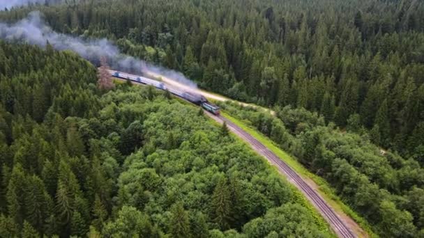 Gammalt Dieseltåg Rör Sig Längs Järnvägen Vacker Natur Skog Berg — Stockvideo