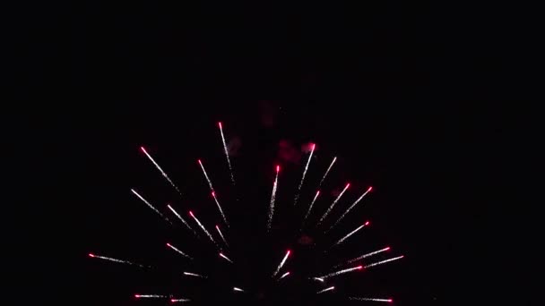 Fuegos Artificiales Desenfoque Abstracto Fuegos Artificiales Brillantes Dorados Reales Con — Vídeo de stock