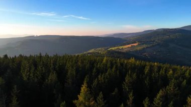 Gündoğumunda insansız hava aracı uçuşu, dağlar, orman, ABD, Amerika