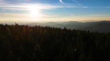 Gündoğumunda insansız hava aracı uçuşu, dağlar, orman, ABD, Amerika