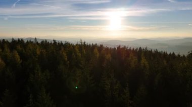 Gündoğumunda insansız hava aracı uçuşu, dağlar, orman, ABD, Amerika