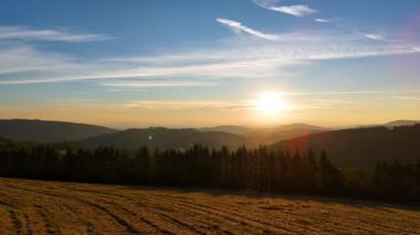 Colorado, ABD 'de sonbaharın başlarında sarı kavak ve yeşil çam ormanlarının havadan görünüşü. Resimli bir sonbahar dağ manzarası.