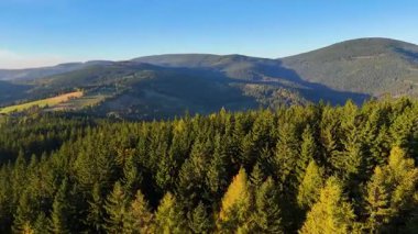 Colorado, ABD 'de sonbaharın başlarında sarı kavak ve yeşil çam ormanlarının havadan görünüşü. Resimli bir sonbahar dağ manzarası.