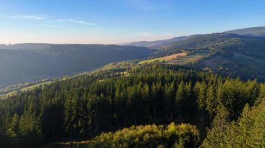 Colorado, ABD 'de sonbaharın başlarında sarı kavak ve yeşil çam ormanlarının havadan görünüşü. Resimli bir sonbahar dağ manzarası.
