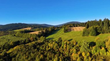 Colorado, ABD 'de sonbaharın başlarında sarı kavak ve yeşil çam ormanlarının havadan görünüşü. Resimli bir sonbahar dağ manzarası.