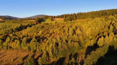 Kuzey Carolina 'daki Appalachian Dağları' nda güzel bir sabah manzarası. Sonbaharda Büyük Dumanlı Dağlar. Drone görünümü.