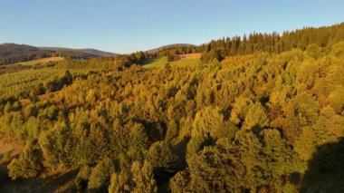 Kuzey Carolina 'daki Appalachian Dağları' nda güzel bir sabah manzarası. Sonbaharda Büyük Dumanlı Dağlar. Drone görünümü.