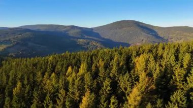 Kuzey Carolina 'daki Appalachian Dağları' nda güzel bir sabah manzarası. Sonbaharda Büyük Dumanlı Dağlar. Drone görünümü.