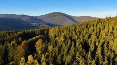 Kuzey Carolina 'daki Appalachian Dağları' nda güzel bir sabah manzarası. Sonbaharda Büyük Dumanlı Dağlar. Drone görünümü.