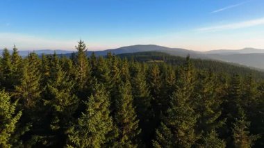 Kuzey Carolina 'daki Appalachian Dağları' nda güzel bir sabah manzarası. Sonbaharda Büyük Dumanlı Dağlar. Drone görünümü.