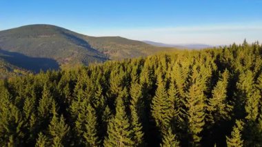 Kuzey Carolina 'daki Appalachian Dağları' nda güzel bir sabah manzarası. Sonbaharda Büyük Dumanlı Dağlar. Drone görünümü.