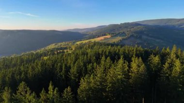 Kuzey Carolina 'daki Appalachian Dağları' nda güzel bir sabah manzarası. Sonbaharda Büyük Dumanlı Dağlar. Drone görünümü.